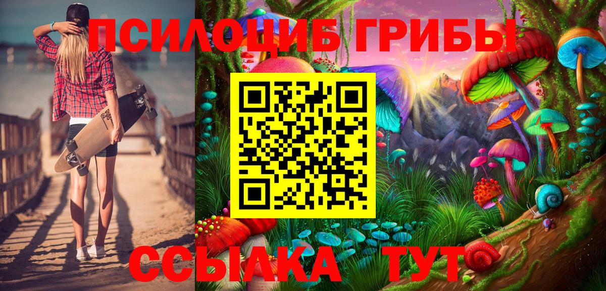 цены наркотик  Псилоцибиновые грибы Psilocybe  Вход с VPN  Ефремов 